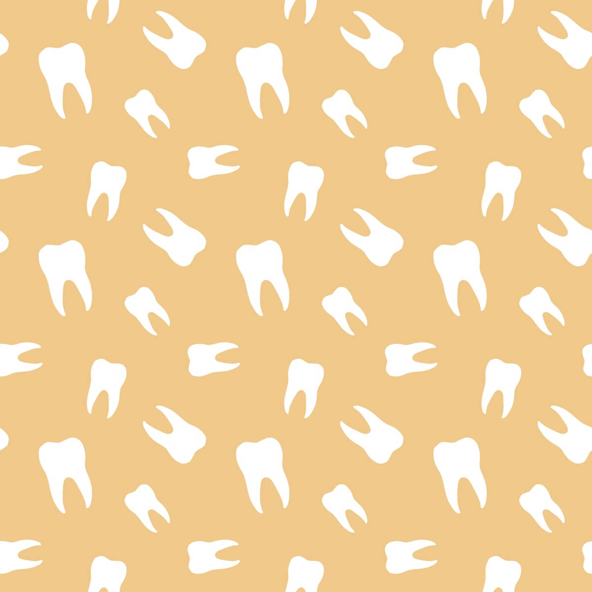 Dentistry of Chelmsford providing quality dental care near Lowell, Massachusetts